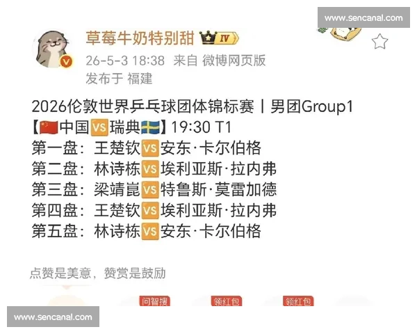 法国对阵瑞典，盘点关键球员与战术较量背后的胜负玄机